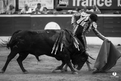 Mont-de-Marsan corrida de Jandilla pour Padilla - Talavante - Roca Rey