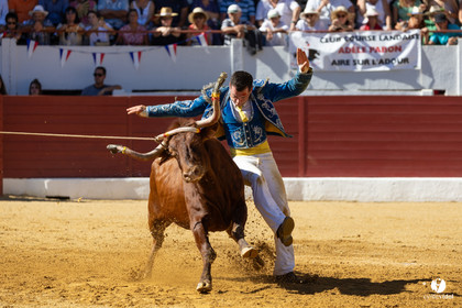 Aire-sur-l'Adour Championnat de France de course landaise 2023