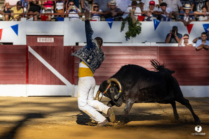 Aire-sur-l'Adour Championnat de France de course landaise 2023