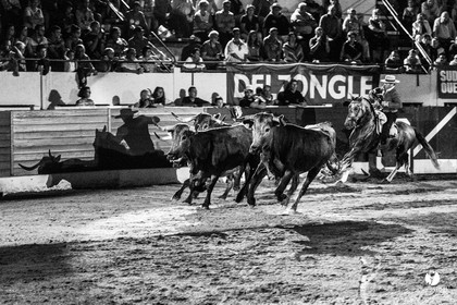 Landes émotions à Aire-sur-l'Adour