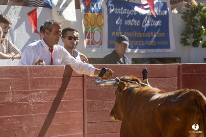 Aire-sur-l'Adour Championnat de France de course landaise 2023