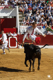 Aire-sur-l'Adour Championnat de France de course landaise 2023