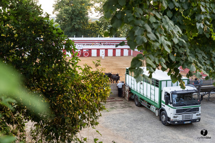 Course landaise à Panjas