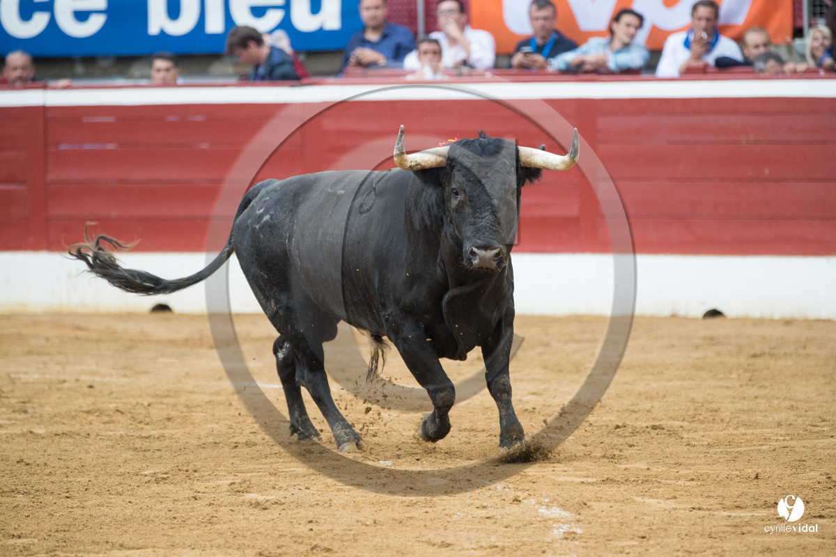 Mont-de-Marsan corrida de la Quinta pour Juan Bautista - Emilio de Justo - Thomas DUFAU