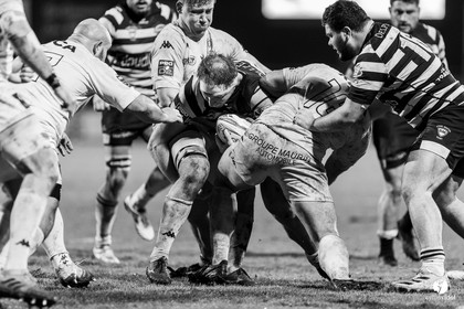 Stade Montois Rugby - Carcassonne