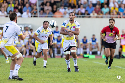 Stade Montois Rugby - Section Paloise