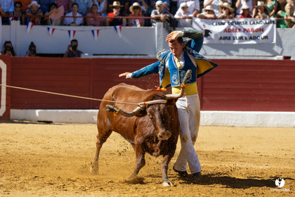 Aire-sur-l'Adour Championnat de France de course landaise 2023