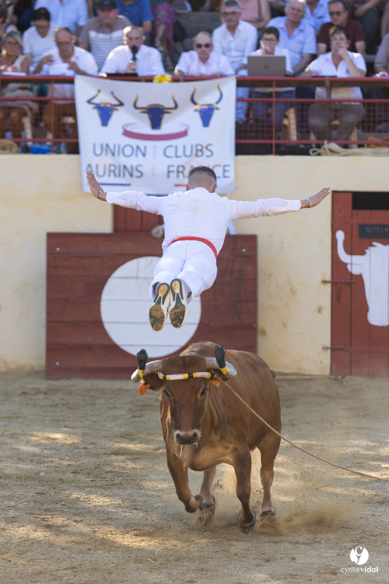 Course landaise