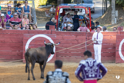 Course landaise à Panjas