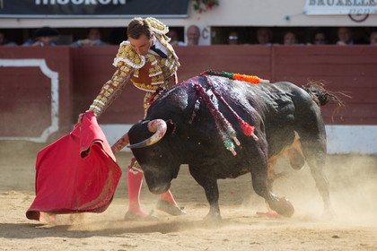 corrida, toro, vic fezensac, alcurrucen, michelito, morenito de aranda