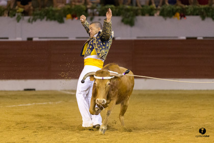 Aire sur l'Adour course landaise génération Aturine