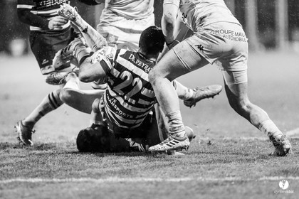 Stade Montois Rugby - Carcassonne