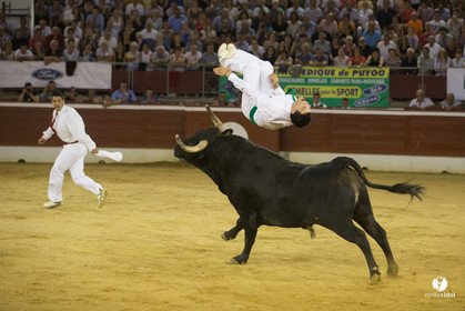 course landaise