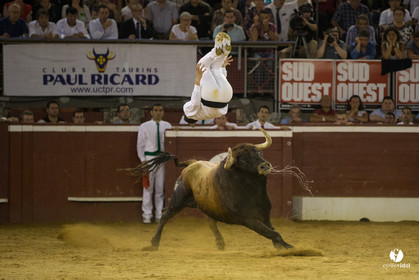 course landaise