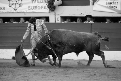 corrida, toro, vic fezensac, alcurrucen, michelito, morenito de aranda