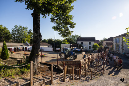 2025-06-28-1147.jpg