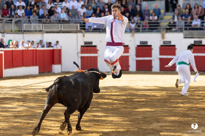 Nogaro Championnat de France de course landaise 2022