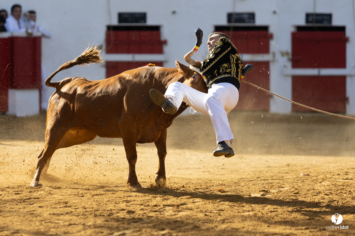 Nogaro Championnat de France de course landaise 2022