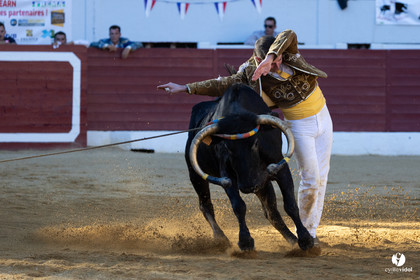 Aire-sur-l'Adour Championnat de France de course landaise 2023