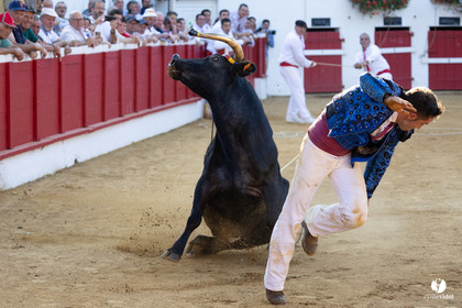 Nogaro Corne d'Or 2023