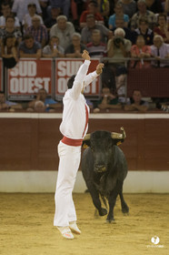 course landaise