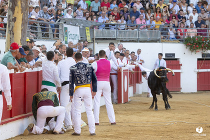 Nogaro Corne d'Or 2023