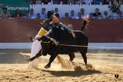 Aire-sur-l'Adour Championnat de France de course landaise 2023