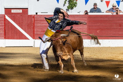 Aire-sur-l'Adour Championnat de France de course landaise 2023