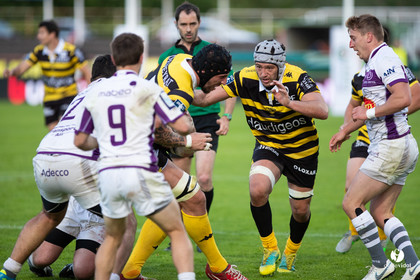 Stade Montois Rugby - Bourg en Bresse