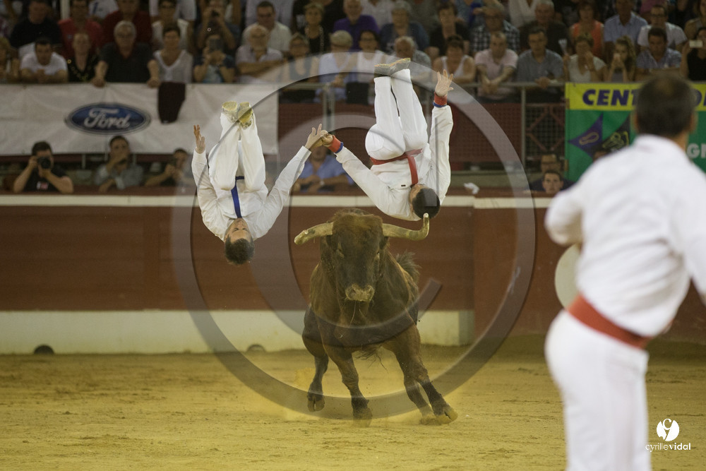 course landaise