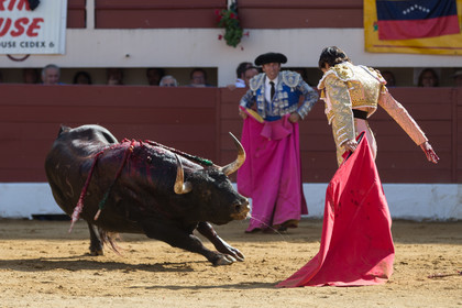 corrida, toro, vic fezensac, alcurrucen, michelito, morenito de aranda