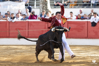 Nogaro Championnat de France de course landaise 2022