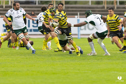 Stade Montois Rugby - Montauban