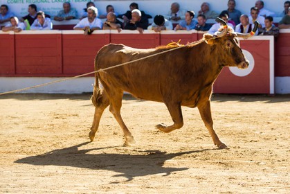 2650.jpg