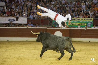 course landaise