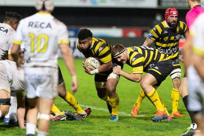 Stade Montois Rugby - Carcassonne