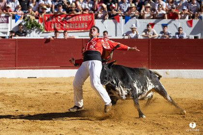 Aire-sur-l'Adour Championnat de France de course landaise 2023