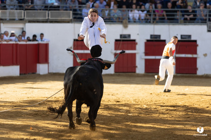 Nogaro Championnat de France de course landaise 2022