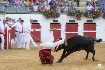 Nogaro Corne d'Or 2023