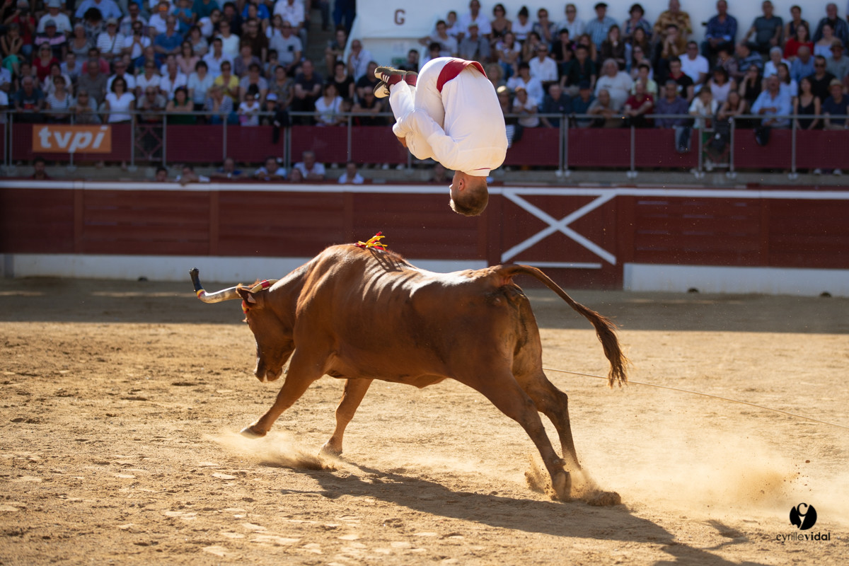Mont-de-Marsan championnat de France de course landaise 2019