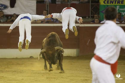 course landaise