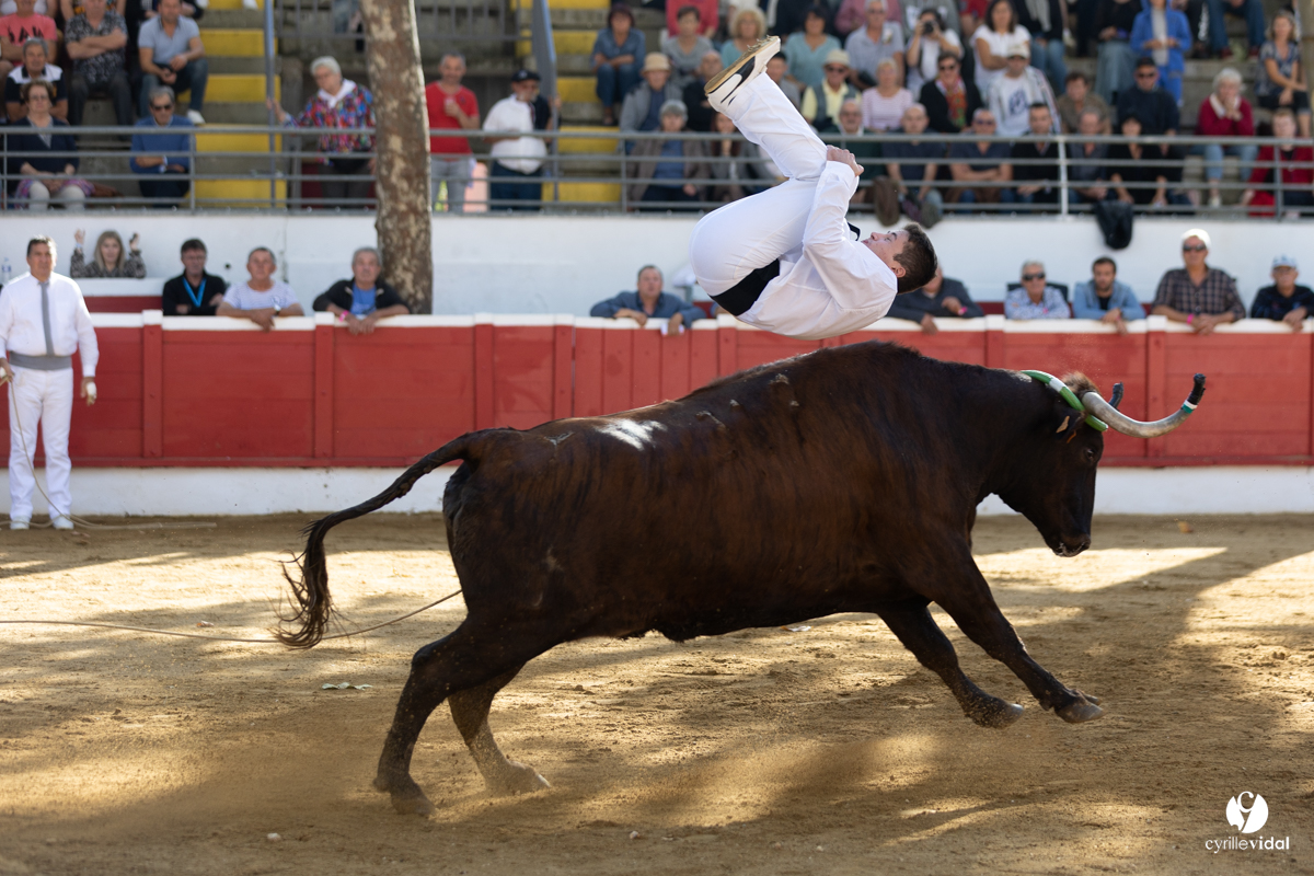 Nogaro Championnat de France de course landaise 2022