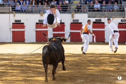 Nogaro Championnat de France de course landaise 2022