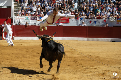 Aire-sur-l'Adour Championnat de France de course landaise 2023