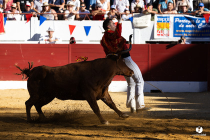Aire-sur-l'Adour Championnat de France de course landaise 2023