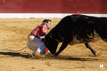 Aire-sur-l'Adour Championnat de France de course landaise 2023