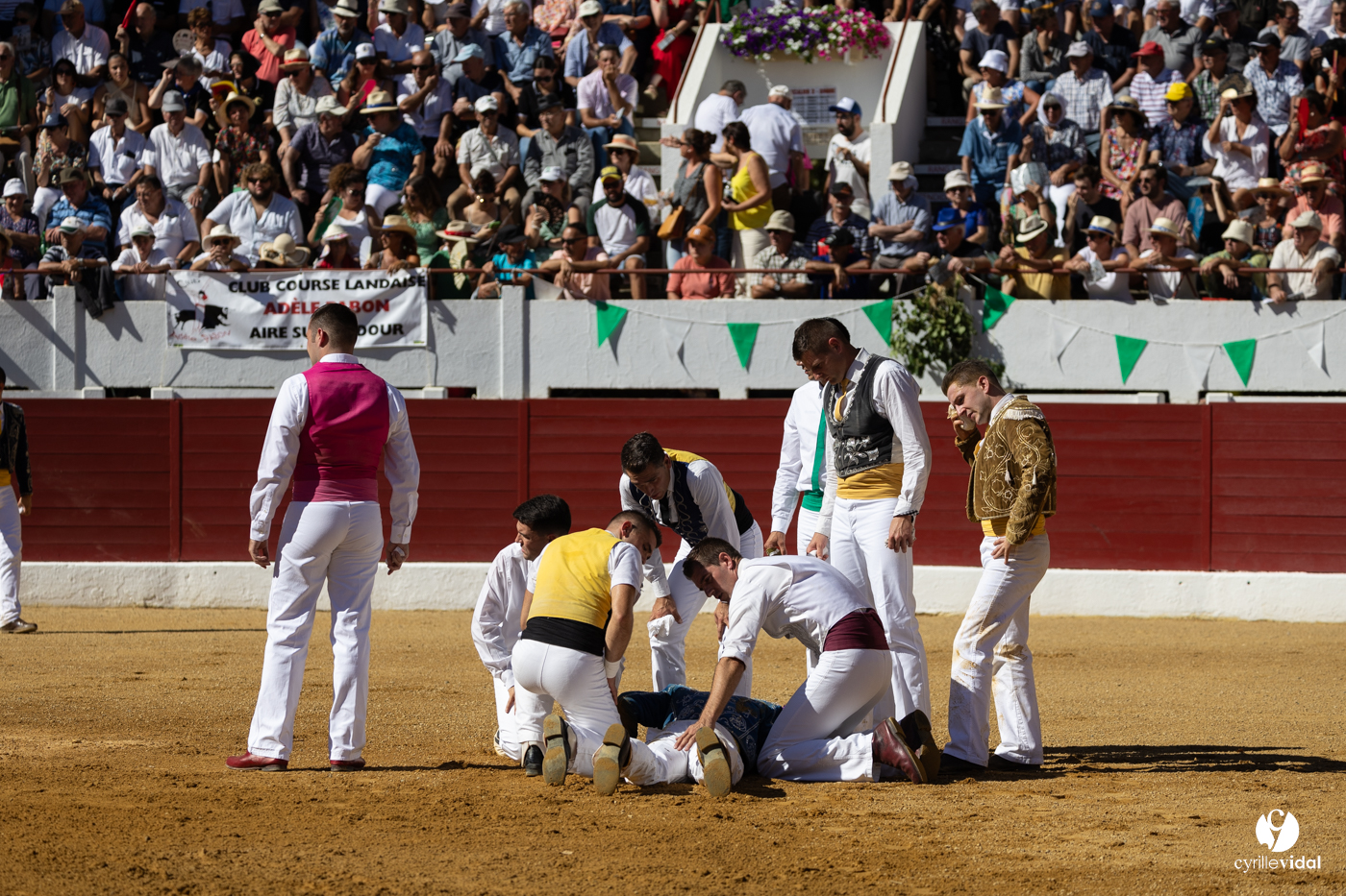 Aire-sur-l'Adour Championnat de France de course landaise 2023