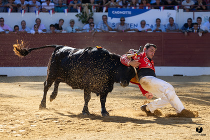 Aire-sur-l'Adour Championnat de France de course landaise 2023