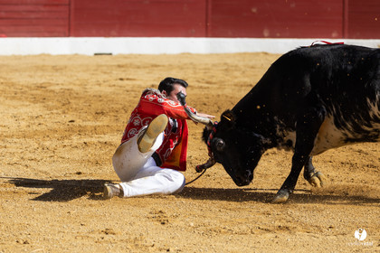 Aire-sur-l'Adour Championnat de France de course landaise 2023