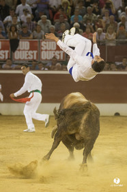 course landaise